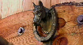 Horse Head Western Door Knocker