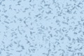 Microbes Form Biohazard Symbol Ntsc