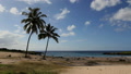 Anakena Beach With Palms Easter Island