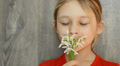 Little Girl Smelling A Bouquet Of Snowdrops On Wooden Background