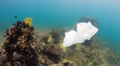 A Plastic Bag Drifts Across A Damaged Tropical Coral Reef