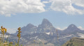 Two Mountain Bikers Speed By A View Of The Grand Teton Mountain In Idaho