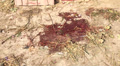 Pools Of Human Blood After Fruit Market Bomb Blast In Islamabad, Karachi