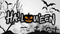 Halloween Black Pumpkin Night Graveyard Animation - 4k Resolution Ultra Hd Uhd