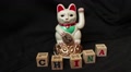 Lucky Asian Cat - Macro Dolly Waving With Blocks Spell China
