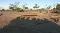 Shadow Of People And Safari Vehicle Driving Through African Bush
