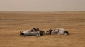 Poor People Sleeping In Desert