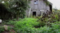 View Of The Abandoned, Neglected Garden And Rambling Barn