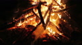 Charming Bonfire Flame Blazing In The Night, Vertical Panning Camera Motion