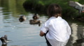 Adorable Kid, Feeding Ducks And Pigeons On A Lake