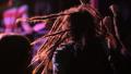 Guy With The Dreadlocks At A Rock Concert