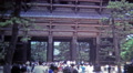 Todai-Ji, Japan 1972: Nara Temple Deer Roam The Park, Friendly Todai-Ji.