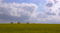 A Beautiful Time Lapse Of Clouds Over Yellow Fields In England.