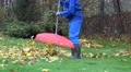 Worker In Blue Uniform Rake Leaves In Park. 4k