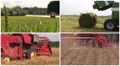 Field Spray. Sodder Bales. Harvest. Fertilize. Video Collage