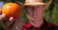 Mediterranean Farm Gardener Man Present Extreme Closeup Image Best Vegan Diet