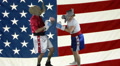 Republican Knock-Out Punch Against American Flag