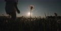 Silhouette Of A Beautiful Young Woman Ran In The Dandelion Field At Sunset, Slow