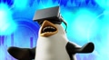 Funny Animated Penguin With Glasses Virtual Reality