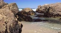 Low Tide Tide Pool Monterey, California