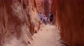Family Hikes Gorgeous Narrow Slot Canyon In The Desert Of Utah