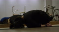 Yoga Instructor In Class On Floor