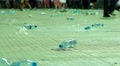 Plastic Bottles, A Lot Of Debris Lying On The Ground, People Kicked The Plastic