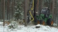 Forwarder Working In The Forest, Processing Wood