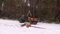 Forwarder Working In The Forest, Processing Raw Wood In The Forest