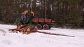 Forwarder Working In The Forest, Processing Wood In The Forest
