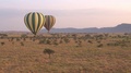 Close Up: Two Ballons Safari Rising Above Lush Acacia Tree Canopies In Serengeti