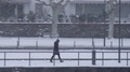 Woman Walking In Park At Snowfall - Snow Falling On A Winter Day