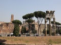 Monument Of Ancient Rome Trajan Markets In Total