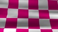 Highly Detailed Checkered Racing Flag With Fabric Texture Waving In The Wind
