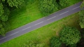 4k Aerial Drone Footage Ascending Above Road On Tree Lined Avenue