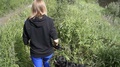 Girl In Sportswear On Hike With Black Dog Labrador Retriever In Tall Grass