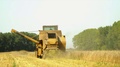 Combine Reap A Crop In The Field Of Yellow Wheat. Car Work At Seasonal