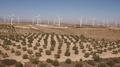 Dolly Zoom Over Windmill Farm And Trees