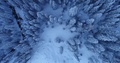 Aerial View Flying Above Trees With Snow 4k