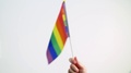 Hand Waving Gay Or Lgbt Pride Rainbow Colored Flag