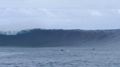Powerful Surfing Ocean Waves In French Polynesia Tahiti Crashing On Shore