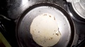 Spinning Clip Of Tortilla Cooking On A Black Cast Iron Skillet.