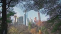 Manhattan View From Central Park Through The Trees Nyc