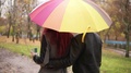 Happy Couple Walking Together In Autumn Park Holding A Colorful Umbrella