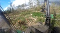 Wood Processing After Hurricane