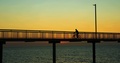 Bicycle Silhouette At Nightcliff Jetty 4k