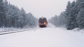 Orange Train Driving Through A Snow Between Forest