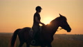 Woman Sits On A Horse, Side View. An Athlete Rides On A Horse On A Sunset