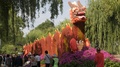 Cultivated Dragon Bush In Park With People Photographing, Kunming, Yunnan, China