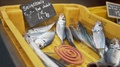 Fishes In A Yellow Plastic Tray For Sale With An Insect Repellent Smoking In